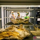 Museum Bangkit! Wisata Sejarah Siap Dikemas Lebih Seru