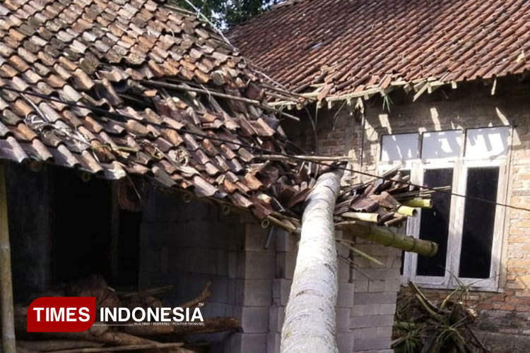 Musim Pancaroba, Warga Pacitan Diminta Waspada Hujan Campur Angin