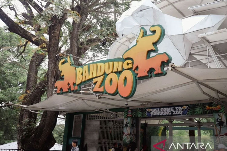 Arsip- Kebun Binatang Bandung (Bandung Zoo) saat beroperasi di Kota Bandung, Jawa Barat. (FOTO: ANTARA/Rubby Jovan)