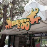Pemkot Bandung Tegaskan Lahan Bandung Zoo Aset Sah Milik Pemerintah