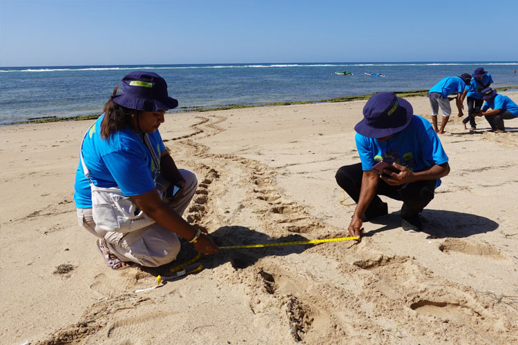 Bimbingan Teknis Pemantauan Pantai Peneluran Penyu di Desa Deme, Kabupaten Sabu Raijua melibatkan masyarakat setempat melalui pendekatan citizen science, atau sains partisipatif.  (FOTO: Nugroho Arif Prabowo/YKAN)