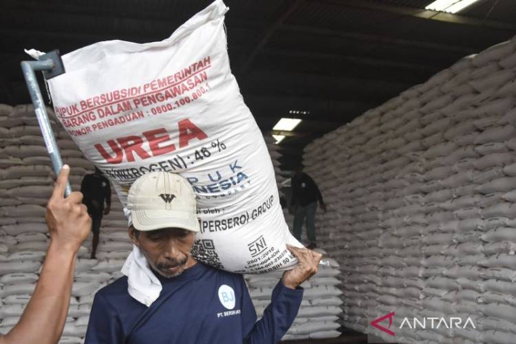 Pekerja mengangkut pupuk di gudang Lini III PT Pupuk Indonesia, Awipari, Kota Tasikmalaya, Jawa Barat, Senin (22/9/2025). (FOTO: Antara/Adeng Bustomi/rwa)