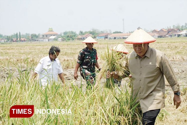 Anggota-Komisi-VII-DPR-RI-Fraksi-Gerindra-3.jpg