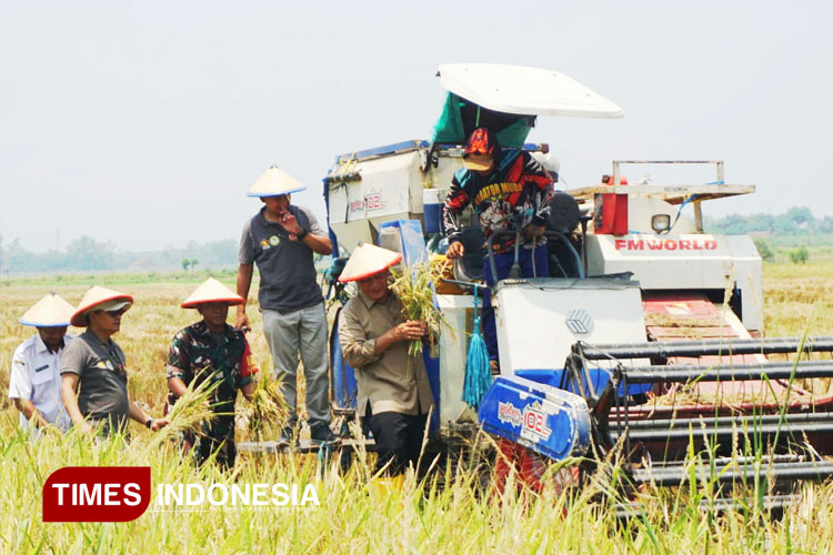 Anggota DPR RI Bambang Haryo Dukung Produktivitas Petani Padi Tiga Kali Panen Setahun