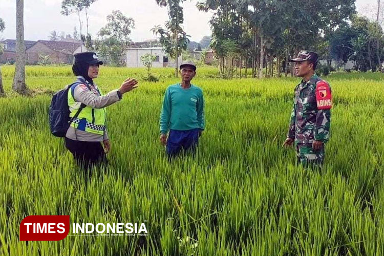 Mengulik Beragam Inovasi Polri dalam Mendukung Ketahanan Pangan