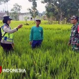 Mengulik Beragam Inovasi Polri dalam Mendukung Ketahanan Pangan