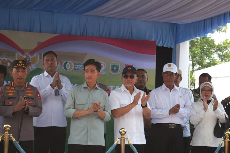 Zulkifli Hasan Tegaskan Jagung Jadi Simbol Kedaulatan Pangan Indonesia
