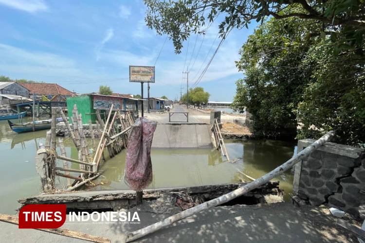 Jembatan Menuju Wisata Tambak Sidoarjo Ambrol, UMKM Warga Lumpuh Sementara