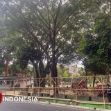 Revitalisasi Alun-Alun Merdeka Kota Malang Dimulai