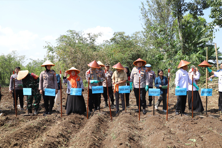 Perkuat Ketahanan Pangan, Polresta Malang Kota Tanam Jagung Serentak dan Gelar Pasar Murah