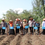 Perkuat Ketahanan Pangan, Polresta Malang Kota Tanam Jagung Serentak dan Gelar Pasar Murah