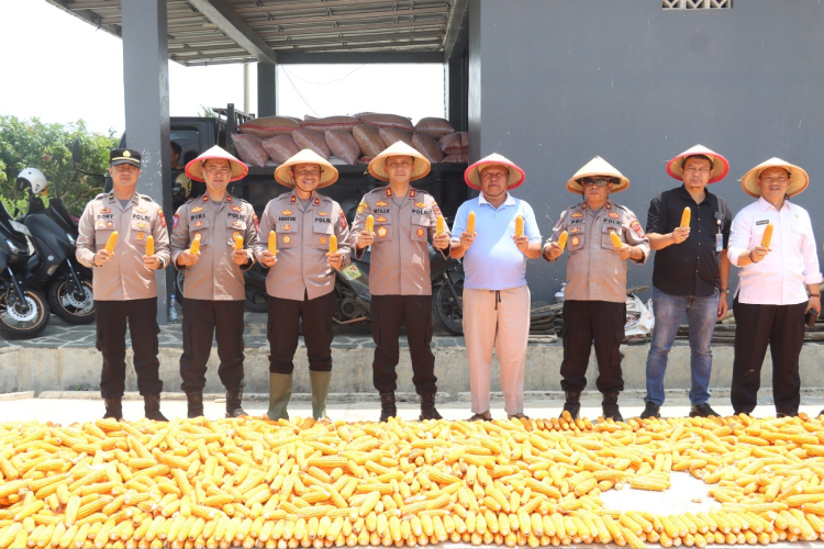 Melihat Sinergi Polri dan Petani Majalengka Mendorong Kemandirian Pangan Nasional