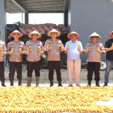 Melihat Sinergi Polri dan Petani Majalengka Mendorong Kemandirian Pangan Nasional