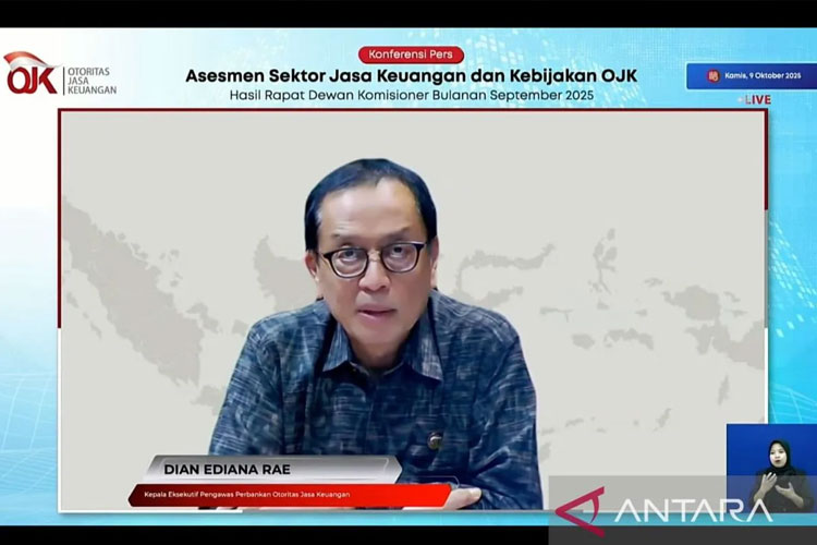 Tangkapan layar - Dian Ediana Rae, Kepala Eksekutif Pengawas Perbankan OJK. (Foto: Antara/Rizka Khaerunnisa)