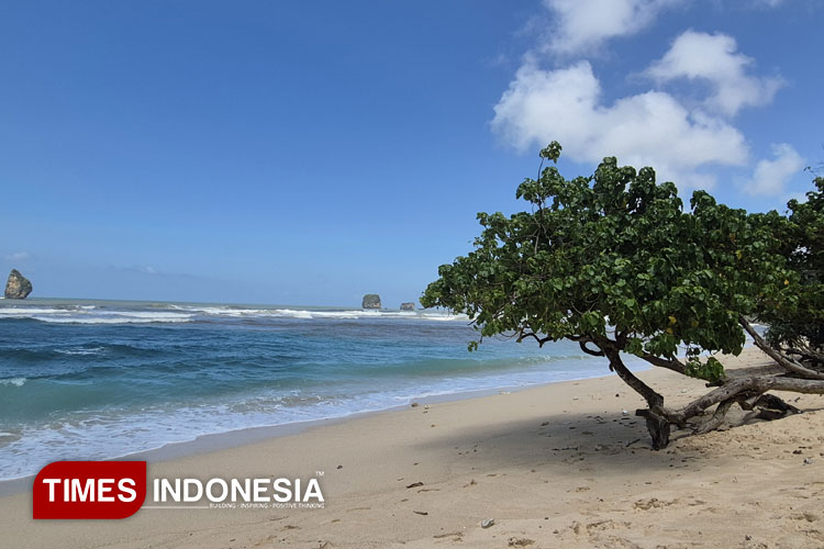 Nikmati Teduhnya Pantai Watu Leter, Surga Tersembunyi di Malang Selatan
