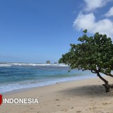 Nikmati Teduhnya Pantai Watu Leter, Surga Tersembunyi di Malang Selatan
