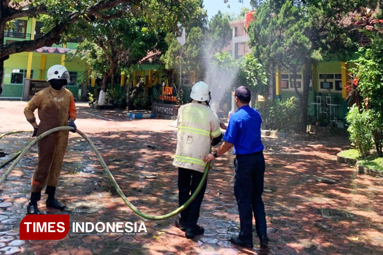 Sekolah di Bondowoso Diserbu Ulat Bulu, Siswa dan Guru Alami Gatal-Gatal