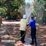 Sekolah di Bondowoso Diserbu Ulat Bulu, Siswa dan Guru Alami Gatal-Gatal