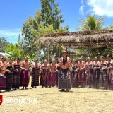 Mengintip Keunikan Seni Budaya Festival Lamaholot Lembata di Desa Wisata Atakore