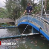 Jejak Kehidupan Warham Syafaat: Sukses Bisnis, Hati Petani