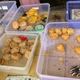 Kue Seribuan Ibu-ibu di Pangkalpinang Dongkrak Ekonomi dan Lestarikan Rasa Tradisional
