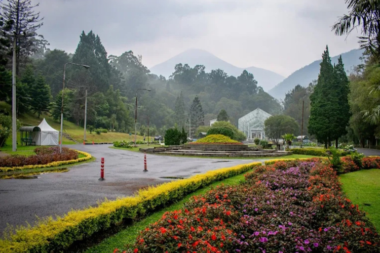 Salah satu spot wisata di Kebun Raya Cibodas Cianjur. (FOTO: Istimewa)