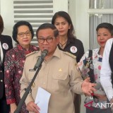 Gubernur DKI Segera Terbitkan Pergub Larangan Perdagangan Daging Anjing dan Kucing