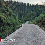 Jalan Viral Tempat Guru Terjatuh di Sumber Probolinggo Kini Jadi Mulus