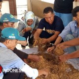 100 Petani Tembakau Kota Tasikmalaya Dilatih Kembangkan UMKM Rokok SKT