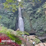 Coban Talun, Harmoni Alam di Tengah Hutan Pinus