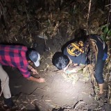 Ditemukan Terbakar di Kebun Tebu, Polres Malang Identifikasi Korban Pembunuhan