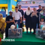 Cegah Stunting dengan Program Satu Keluarga Lima Ayam