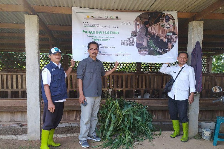 Petani-milenial-Pacitan-b.jpg