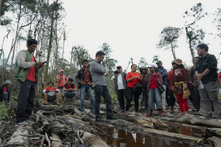 DPR Desak Pemerintah Hentikan Deforestasi Hutan di Sumatera Utara