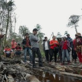 DPR Desak Pemerintah Hentikan Deforestasi Hutan di Sumatera Utara