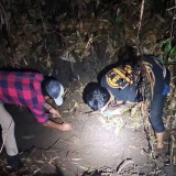 Kasus Pembunuhan di Kebun Tebu Gedangan Malang,  Diduga Motif Masalah Cekcok Rumah Tangga