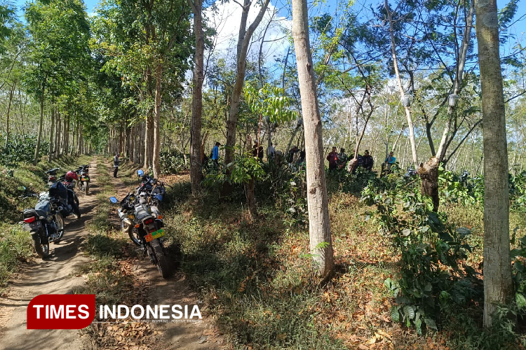 Perusakan Pohon Kopi PTPN di Ijen Dilaporkan ke Polres Bondowoso