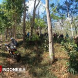 Perusakan Pohon Kopi PTPN di Ijen Dilaporkan ke Polres Bondowoso