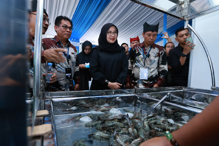 Bupati Banyuwangi, Ipuk Fiestiandani Azwar Anas saat menghadiri Forum Shrimp Fair di Banyuwangi. (Foto: Humas Pemkab for TIMES Indonesia)