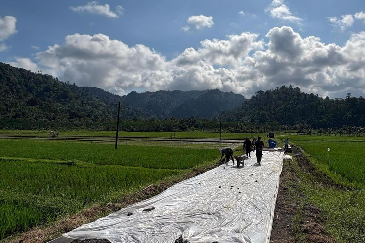 Tampak-personel-TNI-dan-warga-saat-pengecoran-jalan-usaha-tani-pada-TMMD-126-a.jpg
