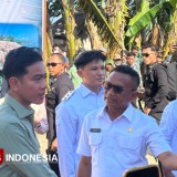 Tinjau Rehabilitasi Talud Penahan Ombak di Morotai, Begini Penjelasan Wapres RI