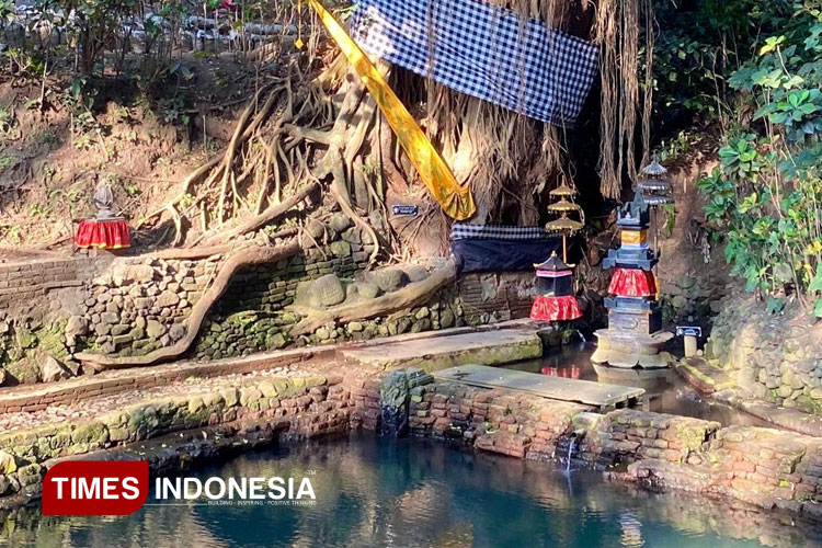 The serene and tranquil atmosphere at the Watugede Water Temple (Petirtaan Watugede) in Singosari, Malang. The bathing pool is believed to be a relic of the Majapahit Kingdom and continues to flow today. (PHOTO: Ardana Pramayoga/TIMES Indonesia)