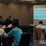 Revisi UU Kepemudaan Masuk Prolegnas 2025-2029