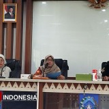 Dinas P3KP2KB Sleman Dorong Gerakan “Ayah Sayang Anak” di 86 Kalurahan