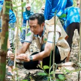 Unair Tuan Rumah Komunitas Restorasi Mangrove Nasional