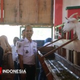 Dorong Pertanian Produktif, Bandara Abd Saleh Gandeng Polbangtan Malang