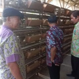 Dari Sleman untuk Indonesia, Pesantren Roudlatush Sholihin Jadi Teladan Kemandirian