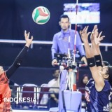 Jelang Final Livoli Divisi Utama 2025 Putri, Petrokimia vs TNI AU Electric