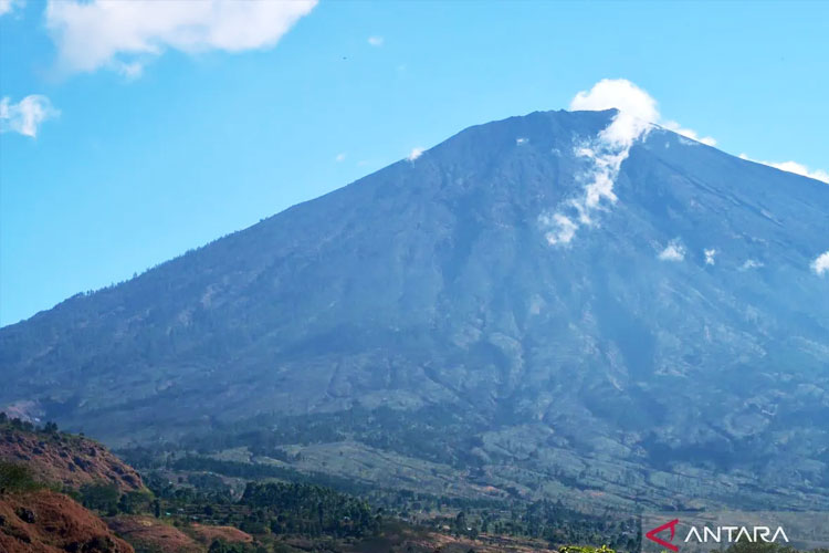 Kebakaran di Kawasan Gunung Rinjani Hanguskan 10 Hektare Lahan