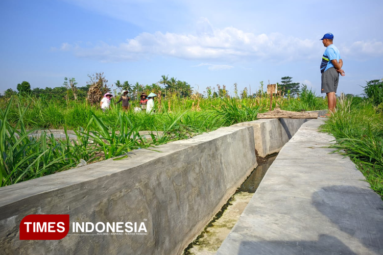 Perkuat Ketahanan Pangan di Bondowoso Melalui Peningkatan Saluran Irigasi